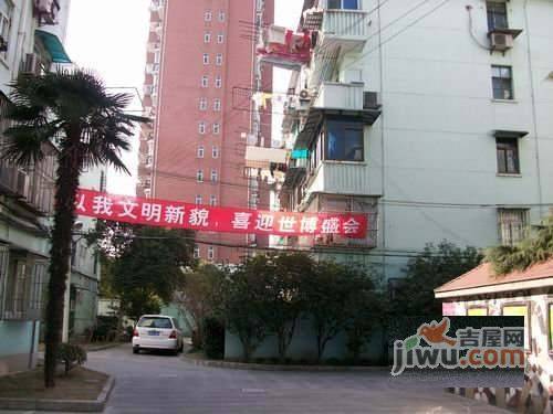杏梅园实景图图片