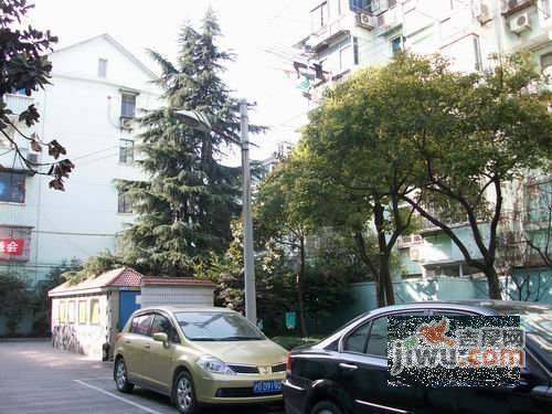 杏梅园实景图图片