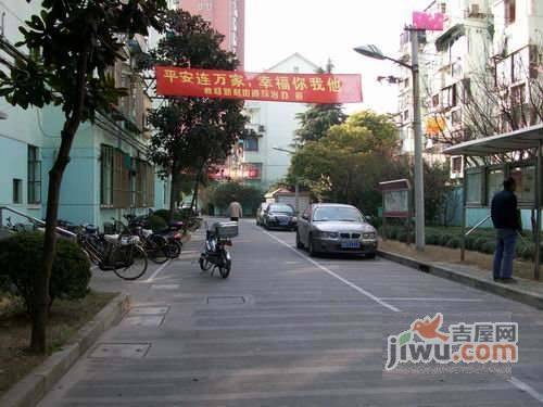 杏梅园实景图图片