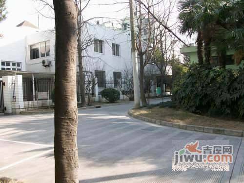 杏梅园实景图图片