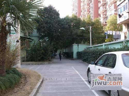杏梅园实景图图片