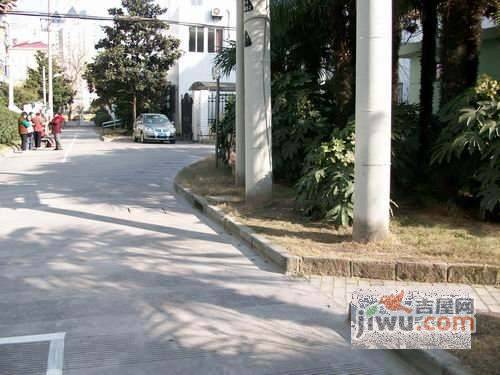 杏梅园实景图图片