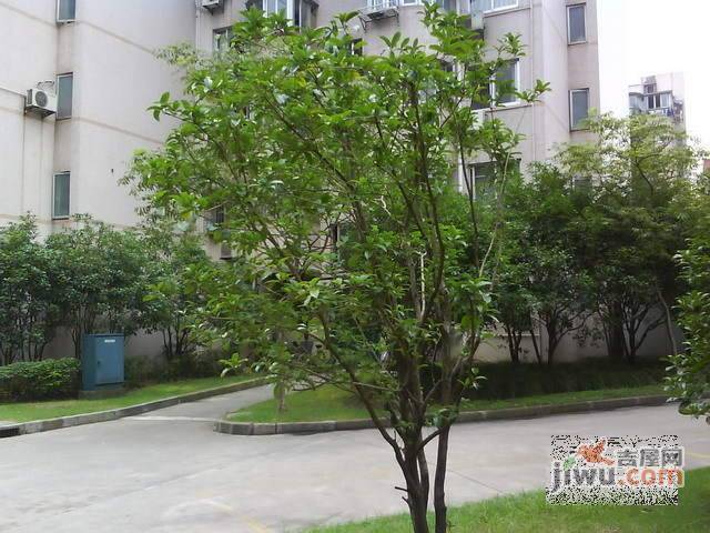曹杨花溪园实景图图片