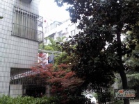 金沙江公寓实景图图片
