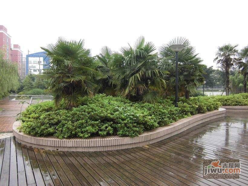 中环大厦实景图图片