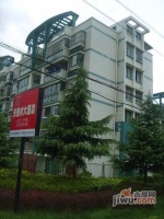 南汇水岸家园实景图9