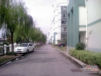 南汇水岸家园实景图9