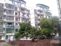 南汇水岸家园实景图9