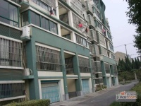 南汇水岸家园实景图9