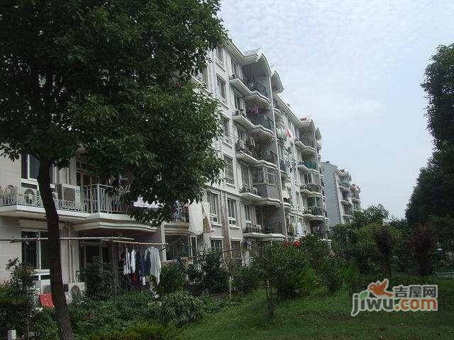 英雄新村实景图图片