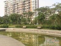 东城华都实景图17