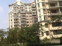 东城华都实景图17