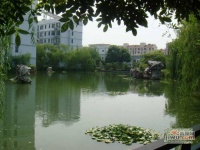 江南清漪园实景图6