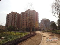 东方听潮豪园实景图55