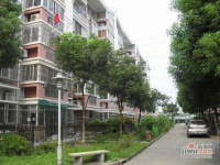 安康新村实景图5