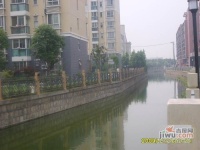 上海总部湾实景图图片