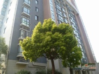 三元及地苑实景图22