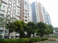 三元及地苑实景图22