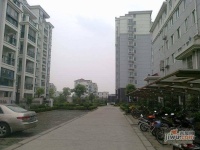 宝菊公寓实景图18