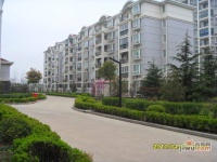 宝菊公寓实景图18