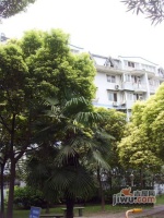 申江花园实景图图片