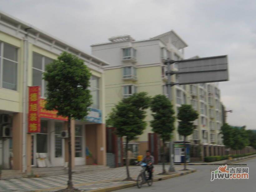 曹安公寓实景图图片