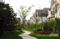 莱茵北郡实景图29