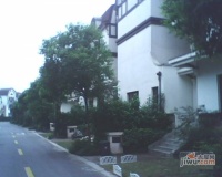 莱茵北郡实景图29