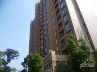 莱茵北郡实景图29