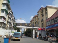 嘉定金华新村实景图20