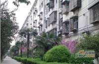 嘉定金华新村实景图20