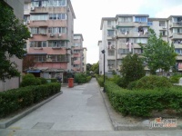 嘉定金华新村实景图20