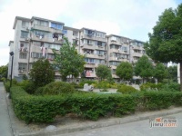 嘉定金华新村实景图20