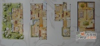 金地格林世界白金生活别墅6室3厅4卫303㎡户型图