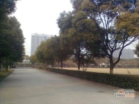 大上海小台北实景图图片