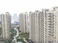 安亭新镇风苑实景图图片