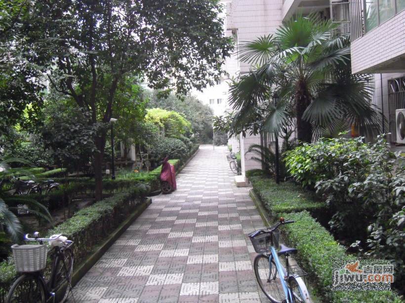丽园公寓实景图图片