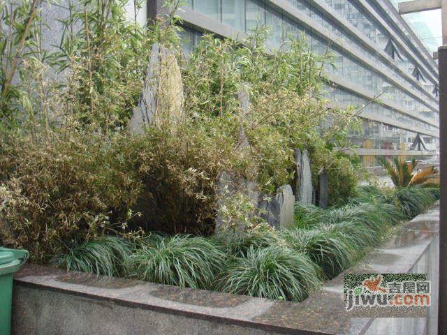 丽园公寓实景图图片