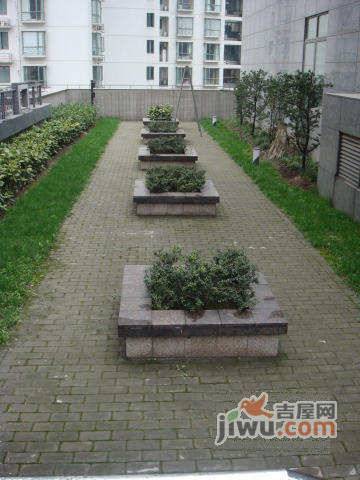 丽园公寓实景图图片
