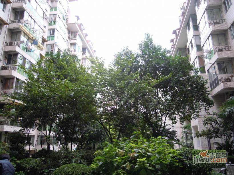 丽园公寓实景图图片