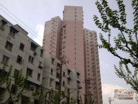 中虹公寓实景图图片