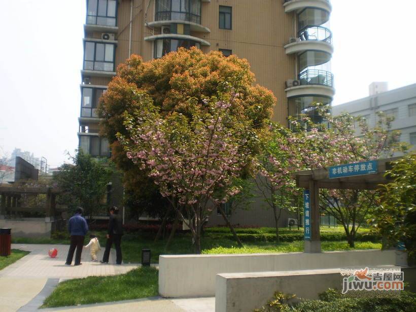 新昌大厦实景图图片