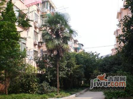 广中扩大小区实景图图片