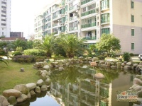 曲阳林云小区效果图