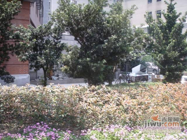 华星公寓实景图图片