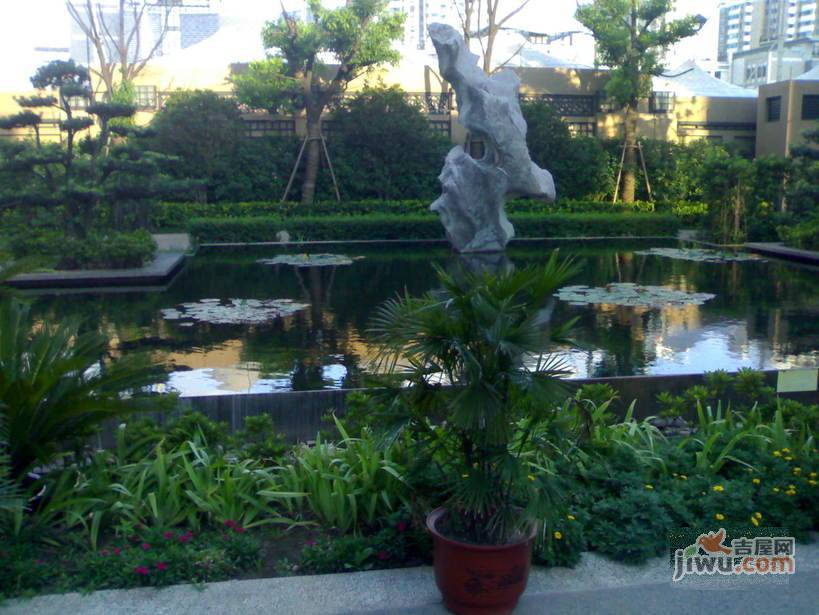 瑞虹新城实景图图片