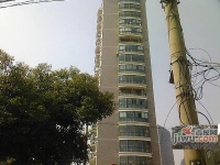 扬子江大厦实景图图片