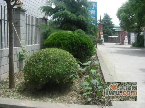 奉贤庄南小区实景图图片