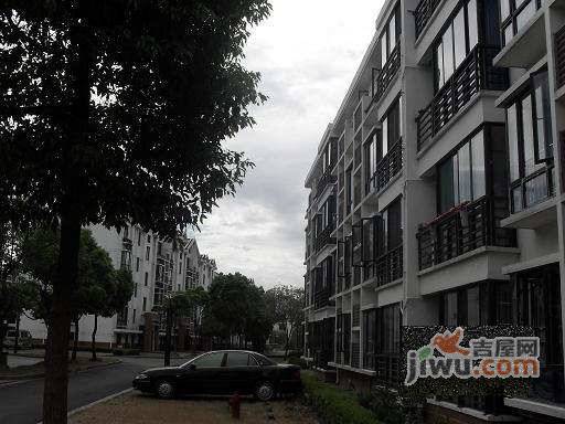 横泾新村实景图图片