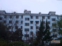 江海一区实景图11